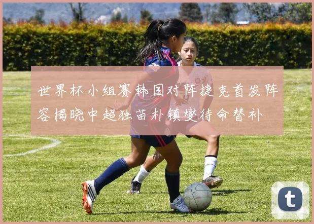 世界杯小组赛韩国对阵捷克首发阵容揭晓中超独苗朴镇燮待命替补